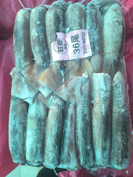 Mực ống đông lạnh nguyên con - Đài loan 300/400g ~13kg