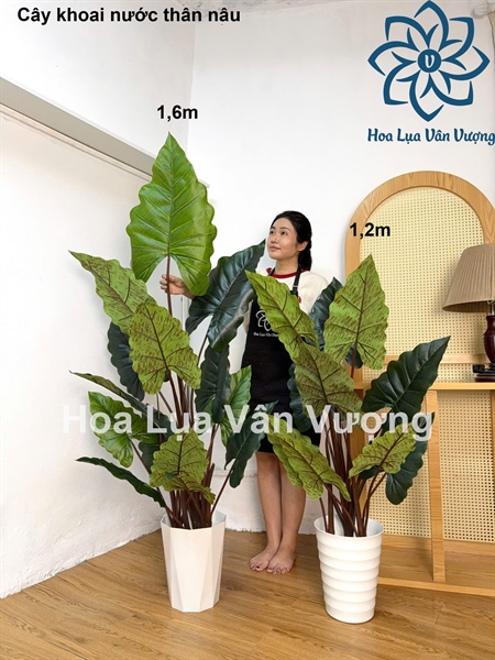 Cây khoai nước thân nâu 1,2m - Cây - Hoa Lụa Vân Vượng