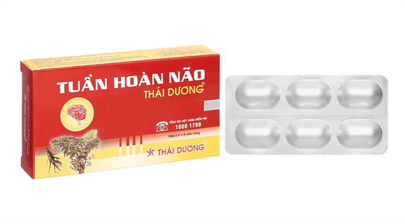 Tuần hoàn não thái dương (h/12v)