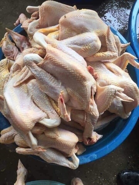 Gà tươi nguyên con có đầu