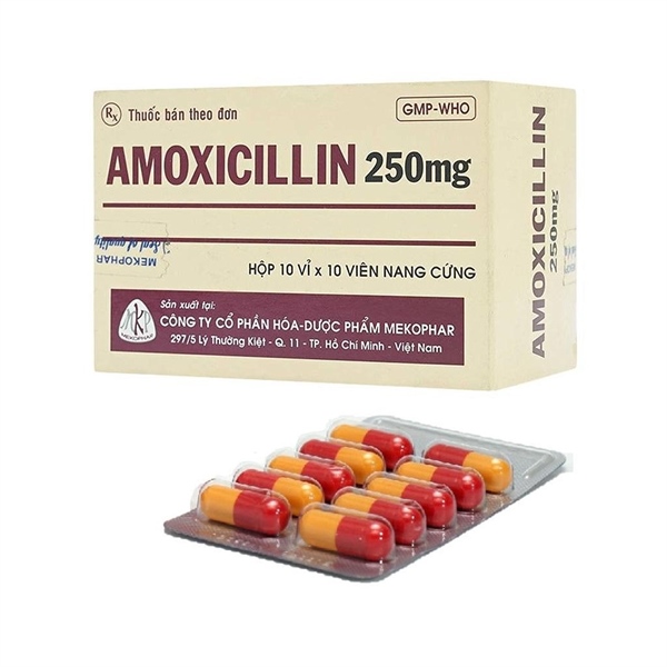 Thuốc Amoxicillin 250mg Mekophar Kháng sinh điều trị nhiễm khuẩn (Hộp 10 vỉ x 10 viên)