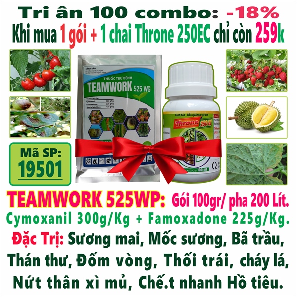 Combo TEAMWORK 100gr + 1 chai Throne 250EC 100ml (2*)