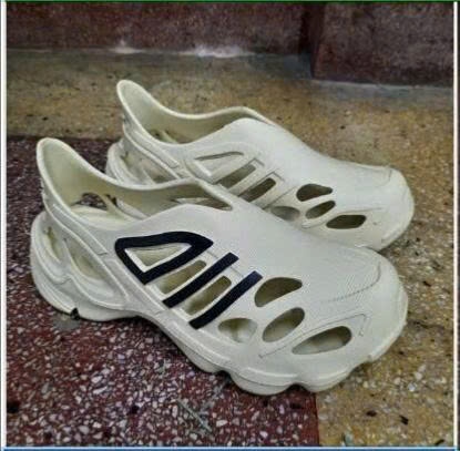 Giày native