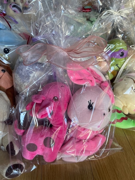 Set gấu bông Quà tặng