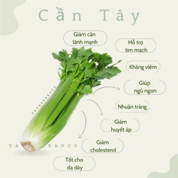 Cần tây bó 500g