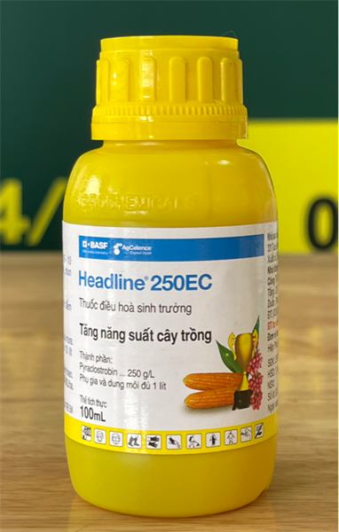 HEADLINE 250EC