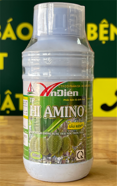 AMINO AN ĐIỀN LỚN
