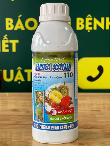 HEXA XANH 110