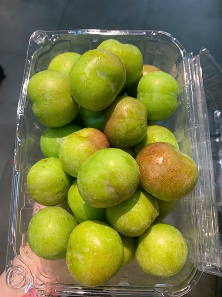 Mận róc hạt - Plum