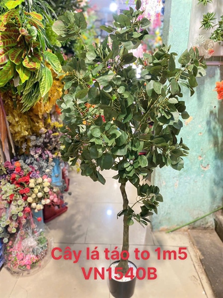 THÀNH PHẨM 4 - A13 ( 2 MÀU )