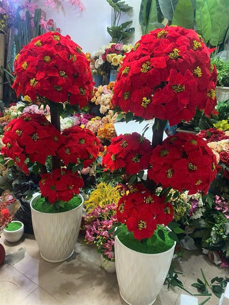 THÀNH PHẨM 4 - A12