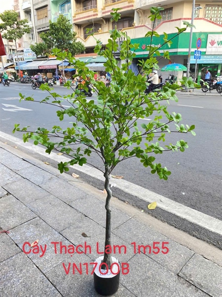 THÀNH PHẨM 4 - A11