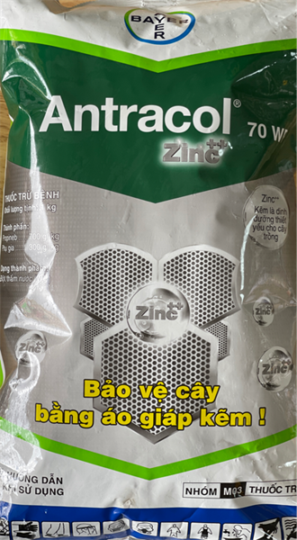 ANTRACOL