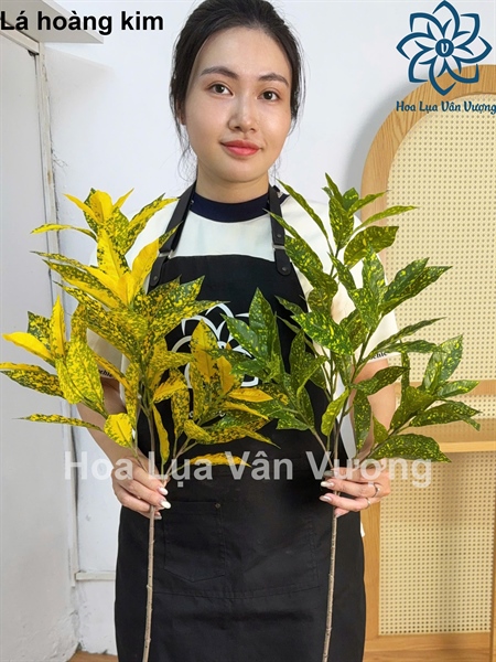 Lá hoàng kim - Lá cành ngắn - Hoa Lụa Vân Vượng