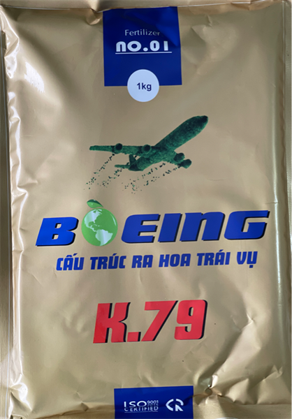 BOEING K.79