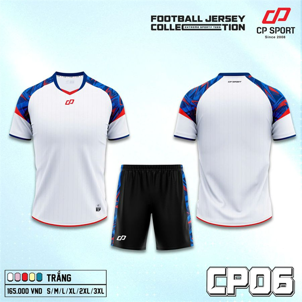 CP 06