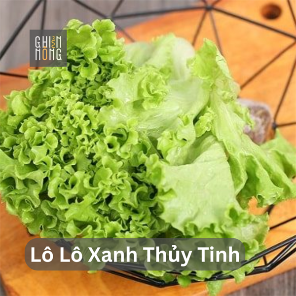Xà Lách Lô Lô Xanh Thủy Tinh | 250-300g