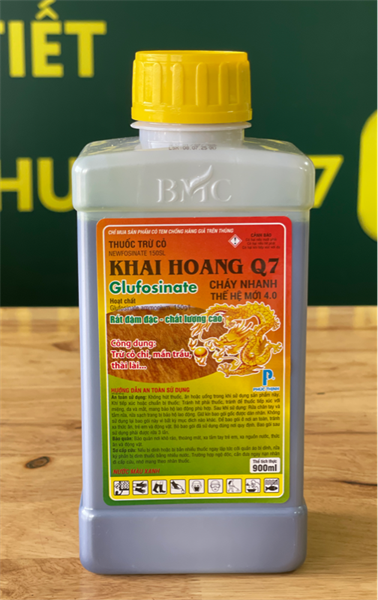 KHAI HOANG Q7