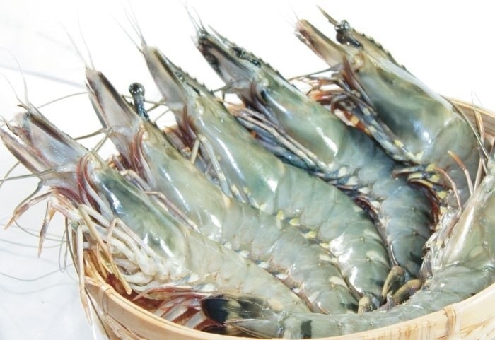 Tôm đông lạnh bịch 500g