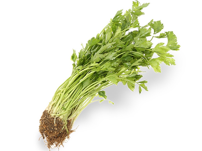 Cần Tàu túi 100g