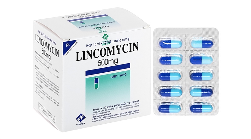 Lincomycin 500mg (H*10vỉ*10viên) - Vidipha