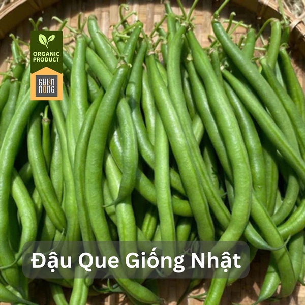 Organic _ Đậu Que Giống Nhật | 450-500g