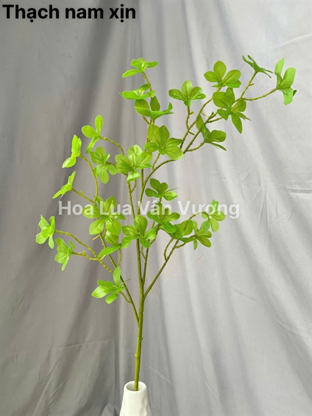 Thạch nam xịn - Lá cành dài - Hoa Lụa Vân Vượng