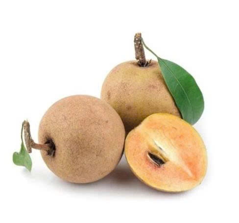 Hồng xiêm Mexico - Sapodilla fruit