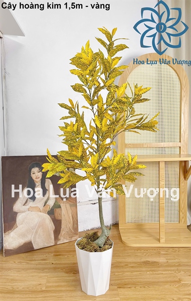 Cây hoàng kim 1,5m - vàng - Cây - Hoa Lụa Vân Vượng