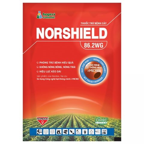 Norshield 86.2wg đồng đỏ 250GAM