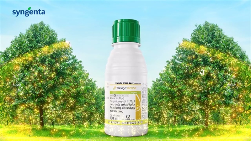 Tervigo 020SC 100ml syngenta