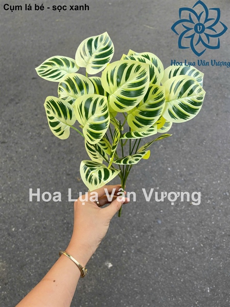 Cụm lá bé - Lá cành ngắn - Hoa Lụa Vân Vượng