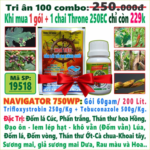 Combo Navigator 750WG gói 60gr + Throne 250EC 100ml. *****