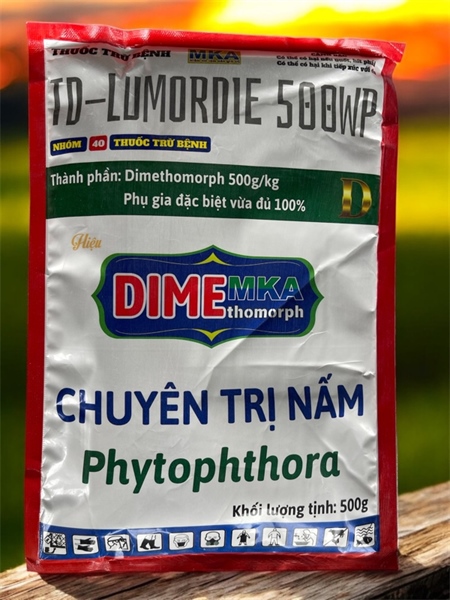TD-LUMORDIE 500WP (DIME THOMORPH MKA)