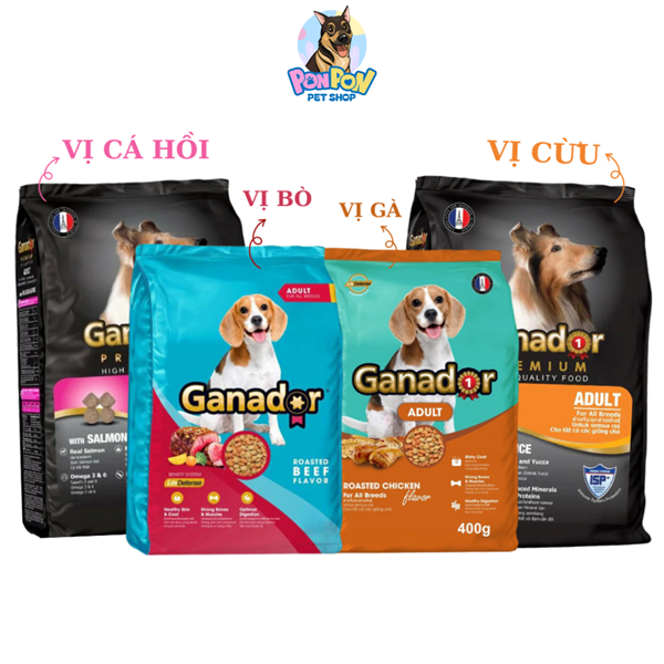 Hạt Ganador cho Chó Trường Thành gói 400g