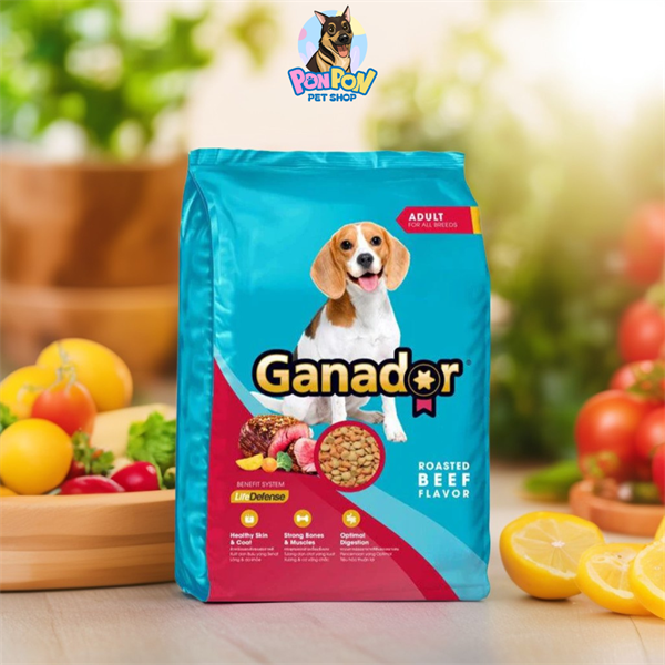 Hạt Ganador cho Chó Trường Thành gói 400g
