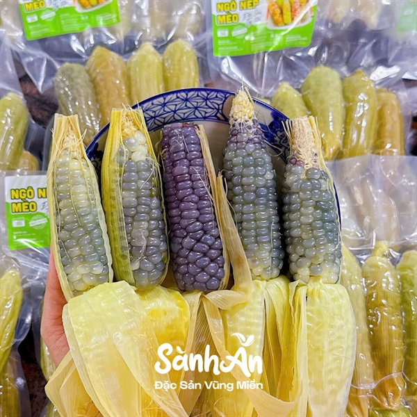 Ngô nếp mèo lạnh Mini