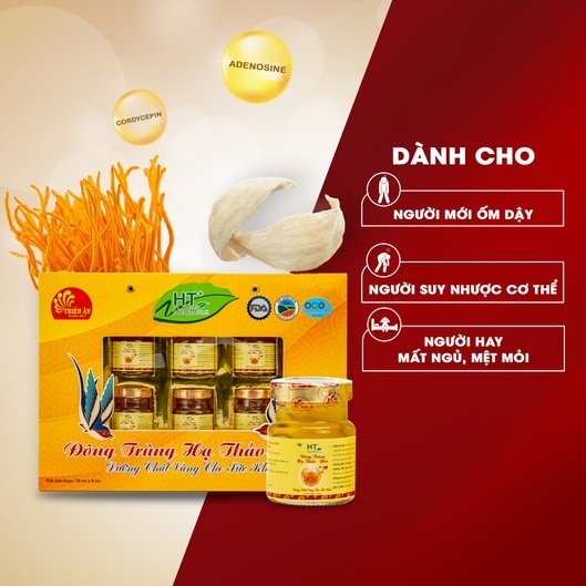 Hộp 6 Hũ Đông Trùng Hạ Thảo Yến HT+