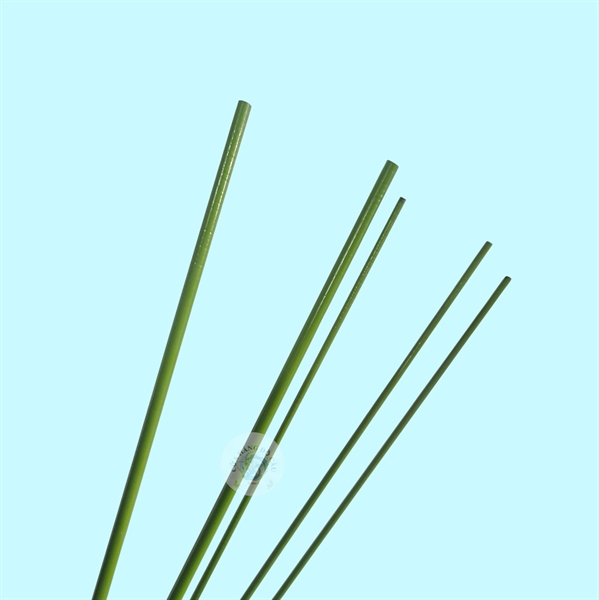 Lóng cần trúc xanh