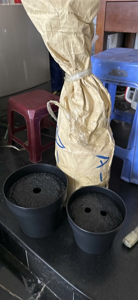 Chậu xi măng đen 20cm - Nguyên vật liệu - Hoa Lụa Vân Vượng