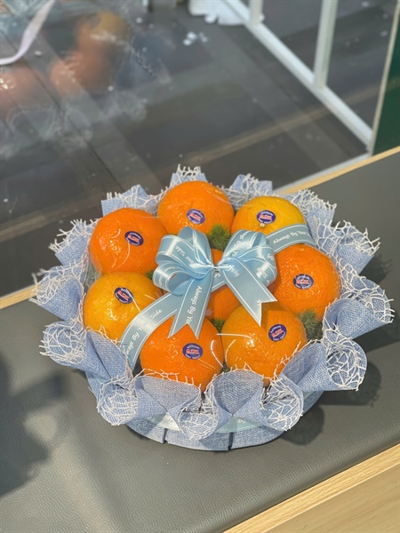 Hộp Quýt Tone Xanh Nước