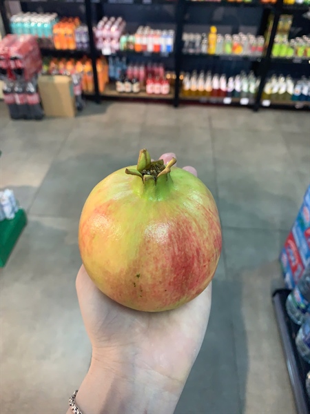 Lựu Thái rubibi - Pomegranate