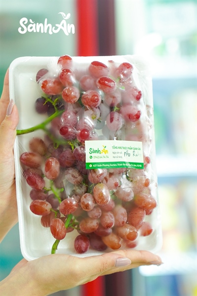 Nho đỏ ruby