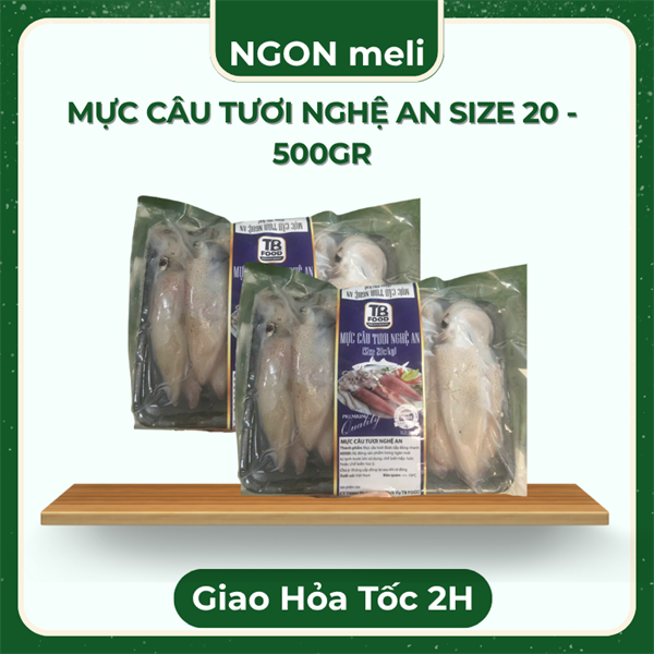 MỰC CÂU TƯƠI NGHỆ AN size 20 - 500gr