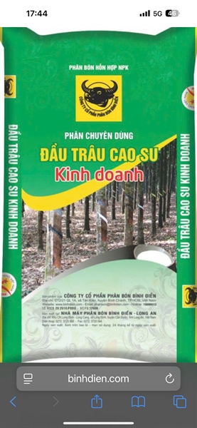 ĐẦU TRÂU CAO SU KINH DOANH (Đầu trâu Cao su kinh doanh)