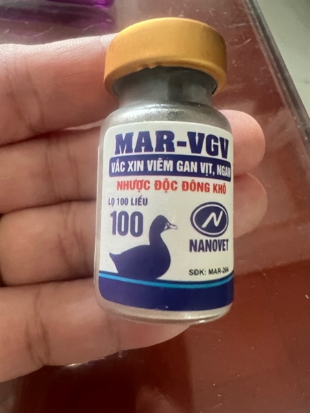 Viêm gan vịt 100 liều