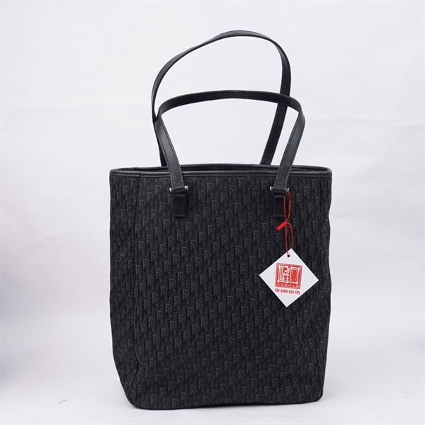 Túi Dior Tote đen (BO-L-0093) sz22-28 KG+