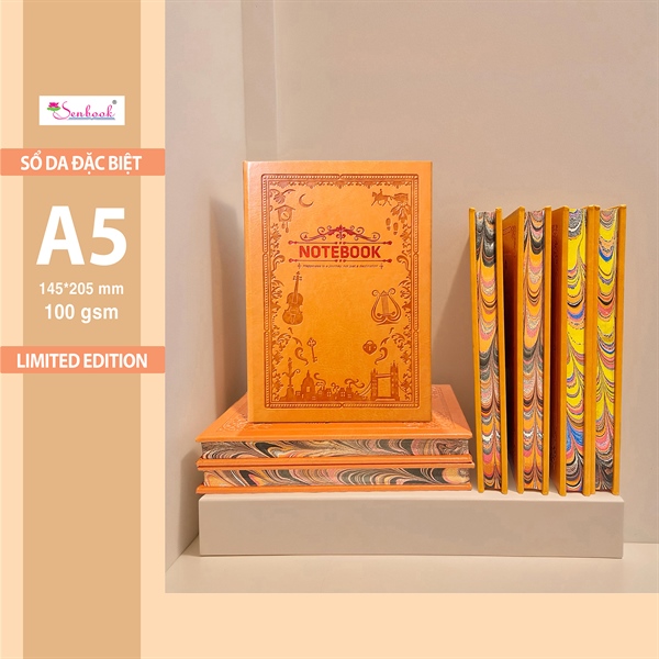 SỔ GHI CHÉP A5 đặc biệt (ĐÀN VIOLON - LYRE)