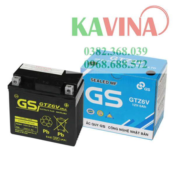 Bình ắc quy xe máy GS GTZ6V (12V-5Ah) - Lỡ