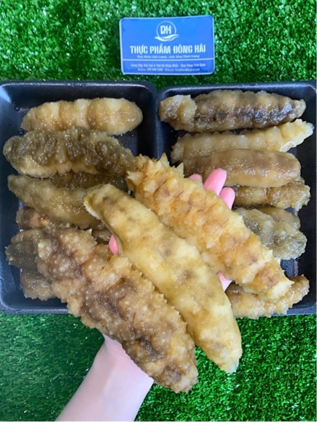 Hải sâm gai vàng size 11-20